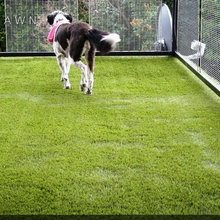 Kimble Kelley Dog Run