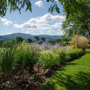 Perennials in the entry garden