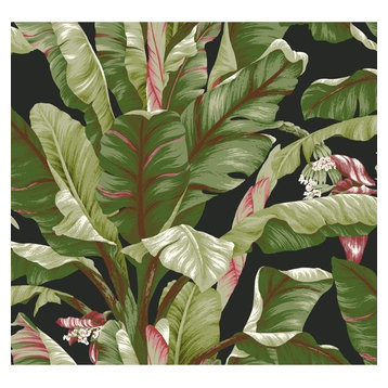 THE 15 BEST Wallpaper Borders for 2023 | Houzz THE 15 BEST Wallpaper Borders for 2023 | Houzz