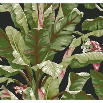 York Wallcoverings AT7071 Tropics Banana Leaf Wallpaper, Black/Green