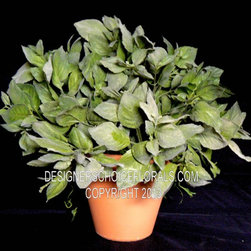 The New Greenery - Products