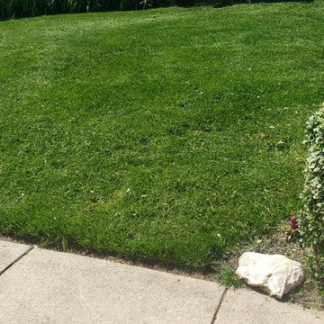 Sidewalk Landscaping