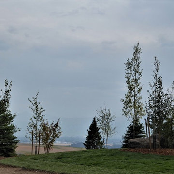 Bozeman Residence