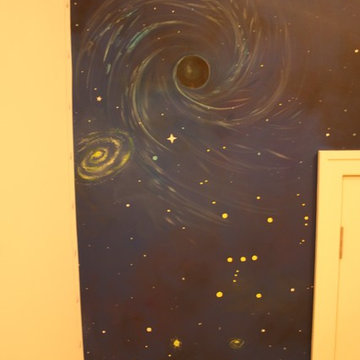 Space X Mission to Mars Kids room