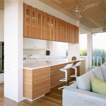 Fire Island House #2