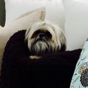 Jenn Cislz's photo
