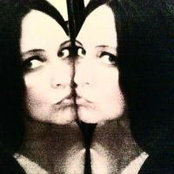 Foto von Silke Schimmelfeder