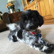 Ruth Cotier O'Connor's photo