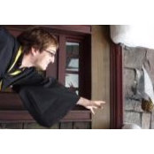JB Feldman's photo