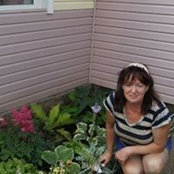 Елена Созинова's photo