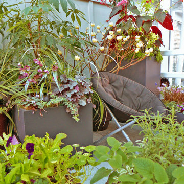 An Urban Botanical Retreat: Unique and Easy Planting Ideas for Intimate (Plant)