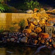 Backyard Ideas