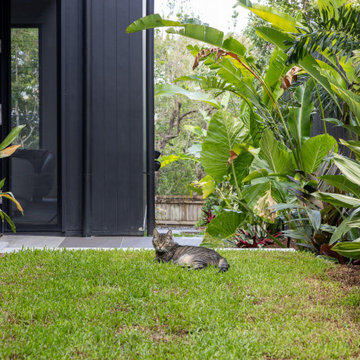 Inner City Tropical Paradise