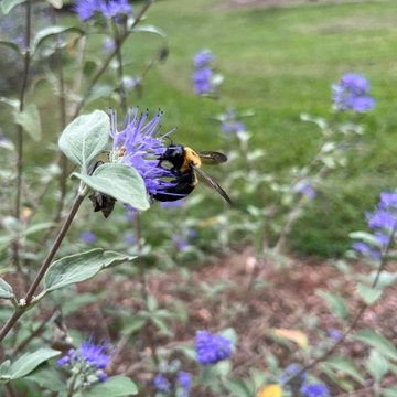 Garden Buddies