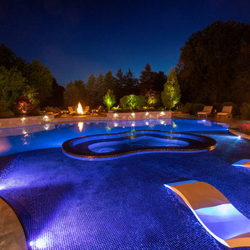 Barrington Hills, IL Freeform Perimeter Overflow with Perimeter Overflow Hot Tub