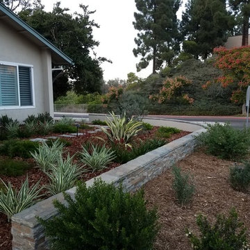 Rain Gardens