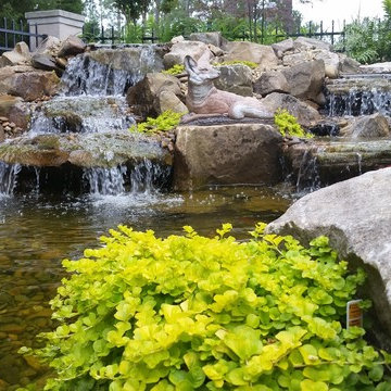 Koi Pond with Waterfalls and Patio / Walkway in Blythewood SC