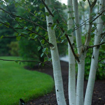 Gardens & Landscapes