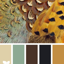 Feathered autumn