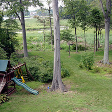 Backyard before previous owners
