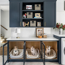 Dog Room