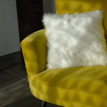 Décoration d'une entrée et d'un salon