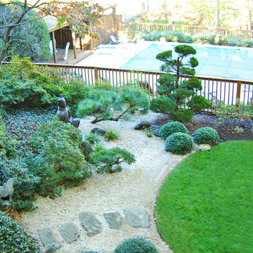 Japanese Garden Design and Installation