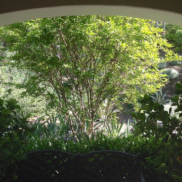 Irvine Hills Mediterranean