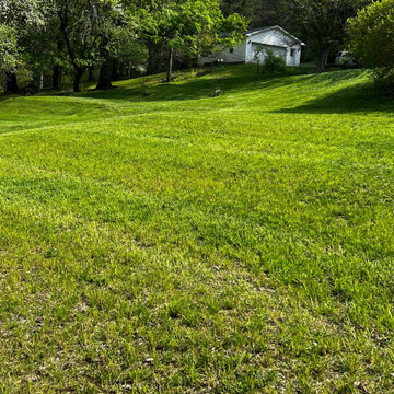 Professional Lawn Care & Mulch Installation