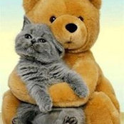 Sandi Galonska's photo