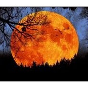 Selina Brady's photo