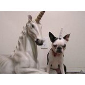 Leah Lemmens's photo