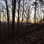 Audie Toler's photo
