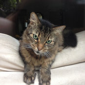Brian Brodber's photo