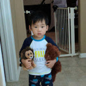 Albert Changs billede