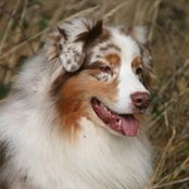 Claudia Hirsch's photo