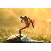 Kelly Taylor's photo