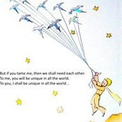 Gina Yetter Pilsucki's photo