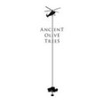 Ancient Olive Trees's profile photo