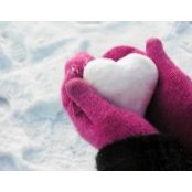 Mahsa Shahsavarian's photo