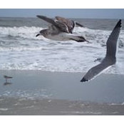 Leigh Smith's photo