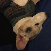 Foto von KayBella Style