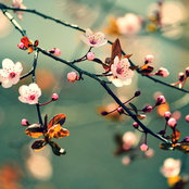 Jenny's photo