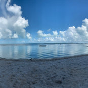 Mike Navarro's photo