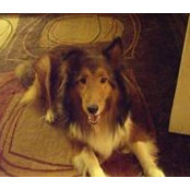 Colleen Zeno's photo