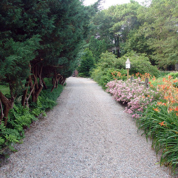 Entry drive and border plantings
