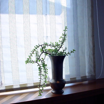 Plants.S