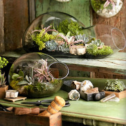 Double Terrarium - Terrariums