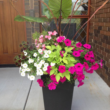 Summer Garden Containers
