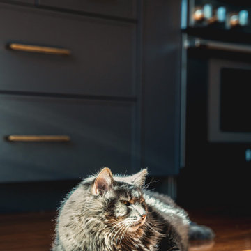 Dark Kitchen
